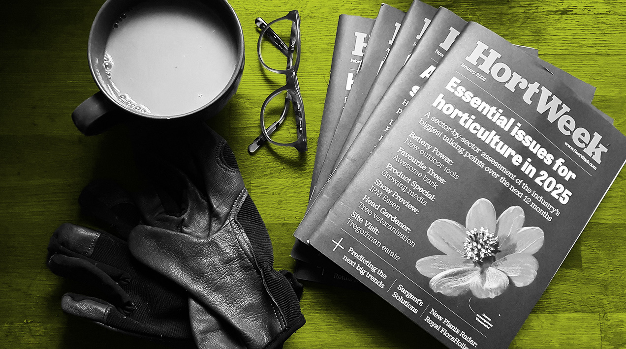 HortWeek magazines, cup of tea